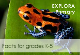 Explora primary. Facts for grades 1-5.